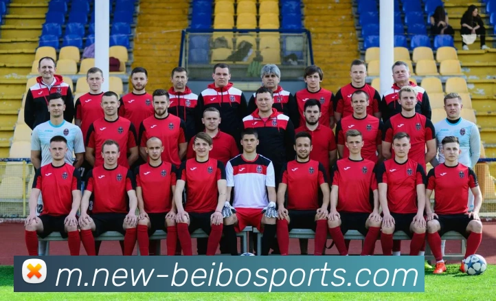 App Interface Preview